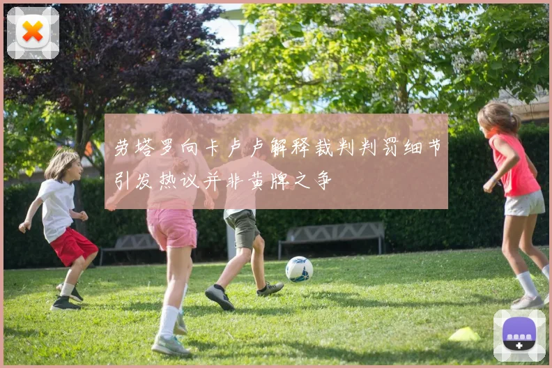 劳塔罗向卡卢卢解释裁判判罚细节引发热议并非黄牌之争