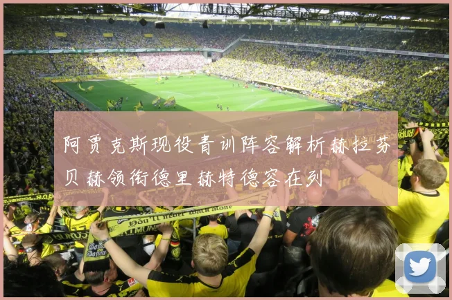 阿贾克斯现役青训阵容解析赫拉芬贝赫领衔德里赫特德容在列
