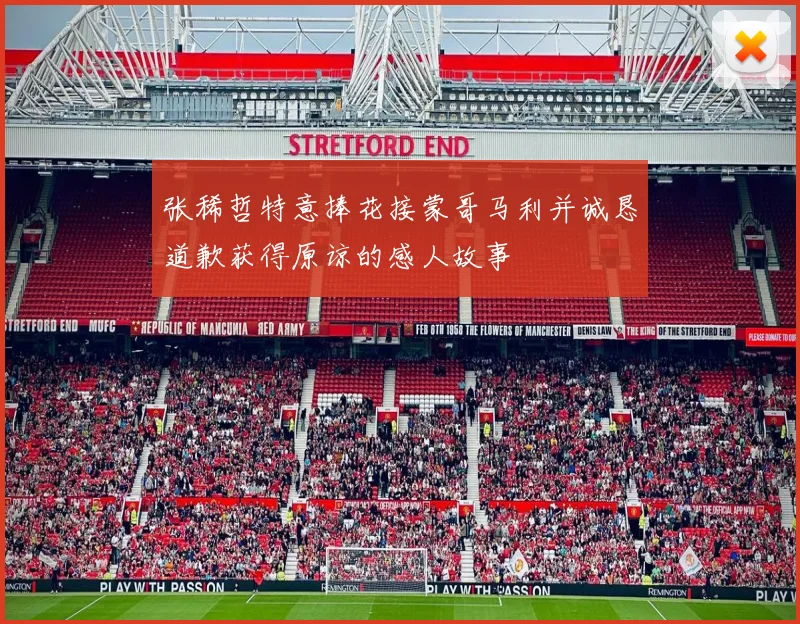 张稀哲特意捧花接蒙哥马利并诚恳道歉获得原谅的感人故事