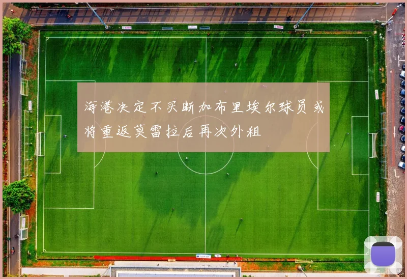 海港决定不买断加布里埃尔球员或将重返莫雷拉后再次外租