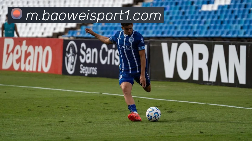 宝威体育平台生态图