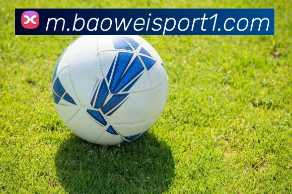 宝威体育APP 封面图