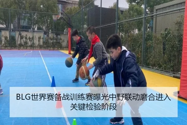 BLG世界赛备战训练赛曝光中野联动磨合进入关键检验阶段 - BOWWAYSPORTS